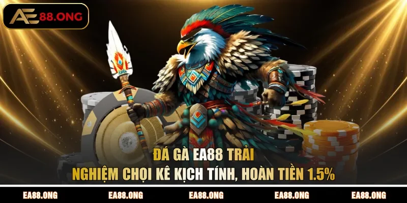Đá Gà EA88 | Trải Nghiệm Chọi Kê Kịch Tính, Hoàn Tiền 1.5%