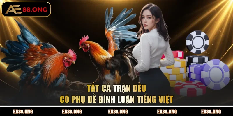 Tất cả trận đều có phụ đề bình luận tiếng Việt